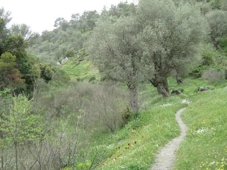 Trans003.jpg