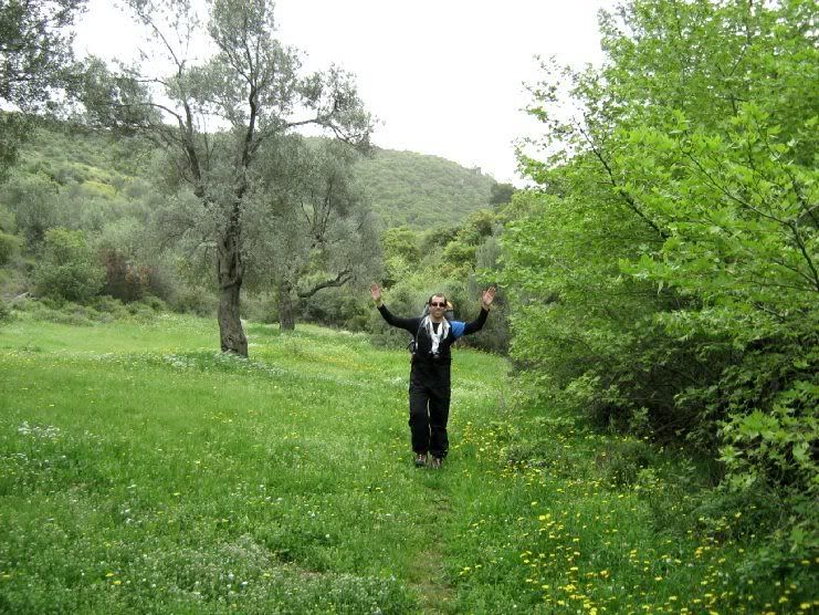 Trans004.jpg