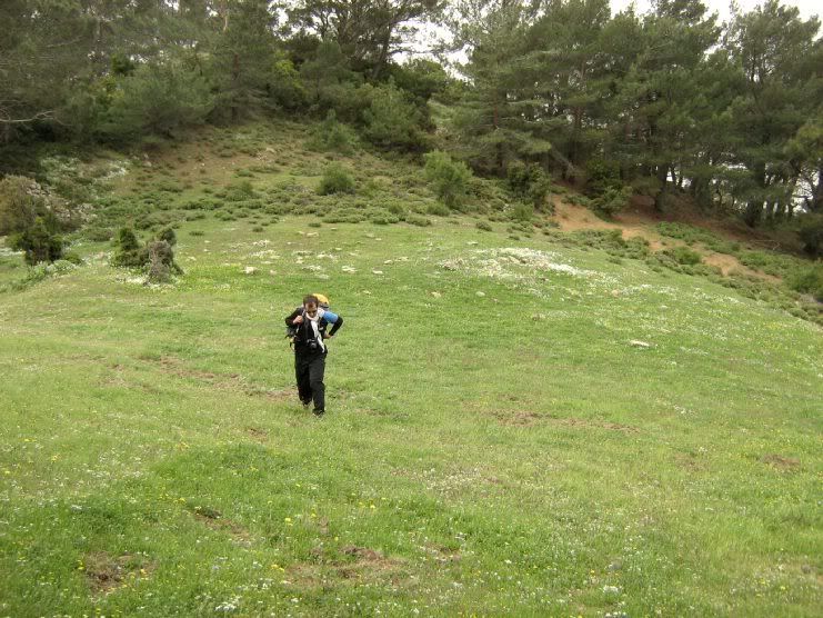 Trans010.jpg