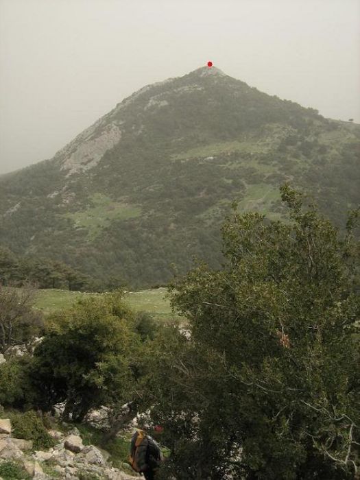 Trans019.jpg