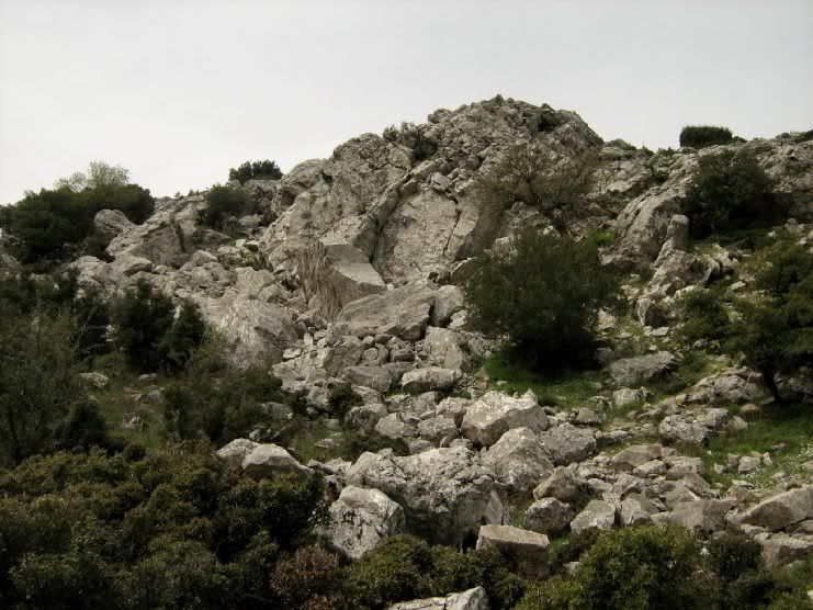 Trans020.jpg