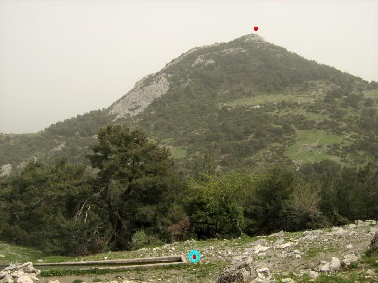 Trans021.jpg
