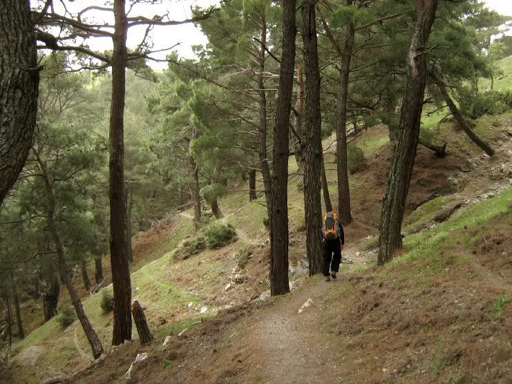 Trans022.jpg