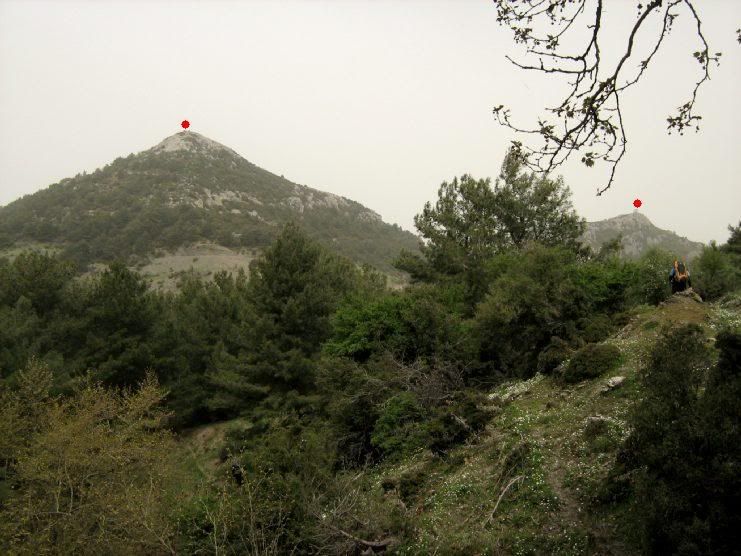 Trans024.jpg