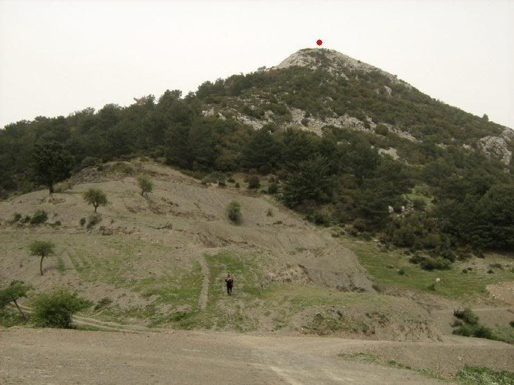 Trans026.jpg