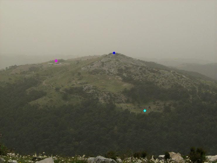 Trans029.jpg