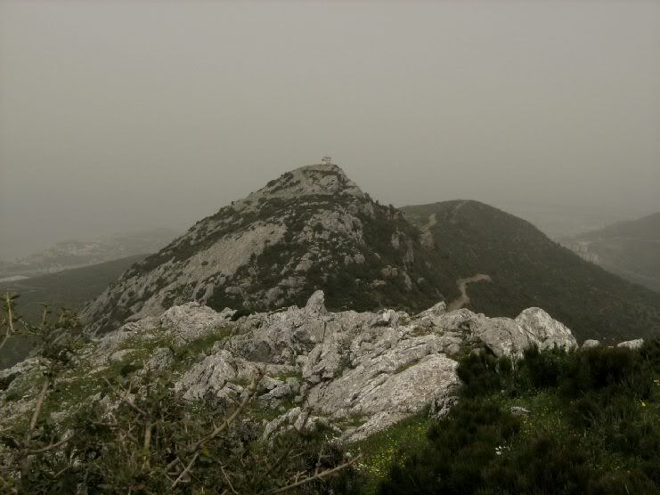 Trans030.jpg