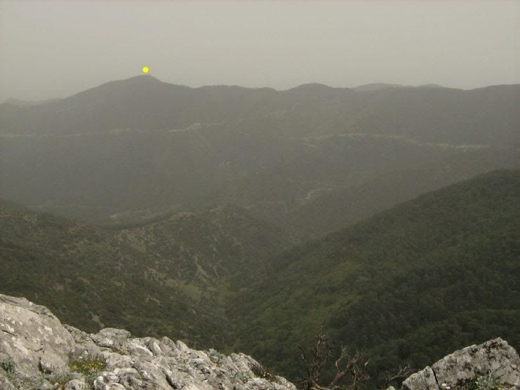 Trans031.jpg