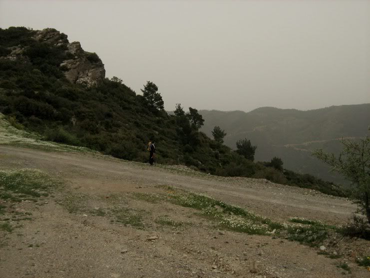 Trans040.jpg