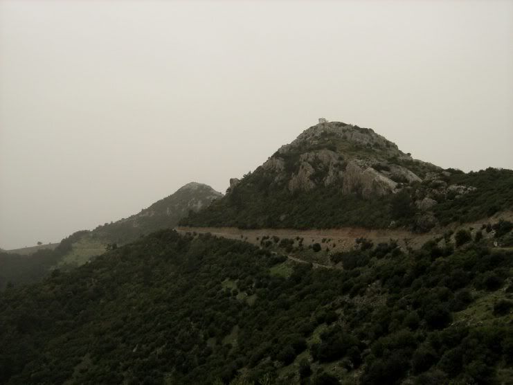 Trans041.jpg