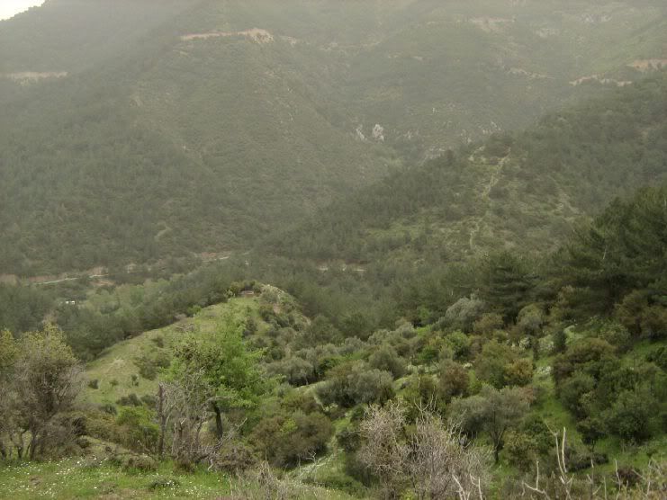 Trans043.jpg