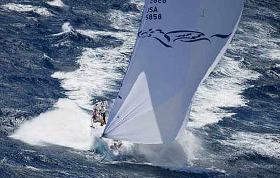 transpac2009_02.jpg