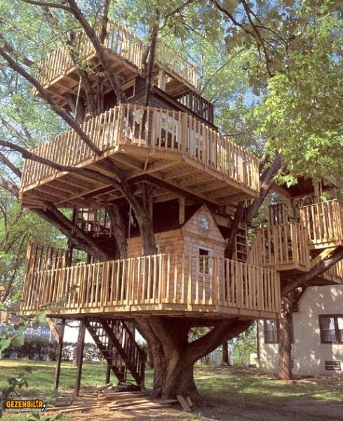 tree_houses_00.jpg