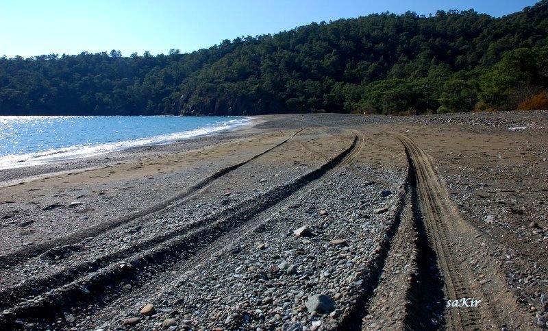 trk 15.jpg