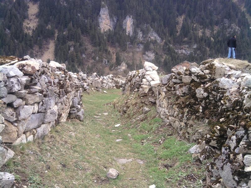 TROFF (136).jpg