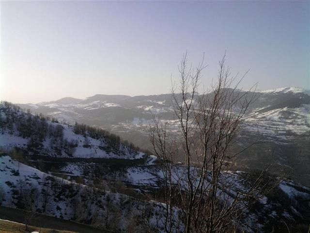 TROFF (158).jpg