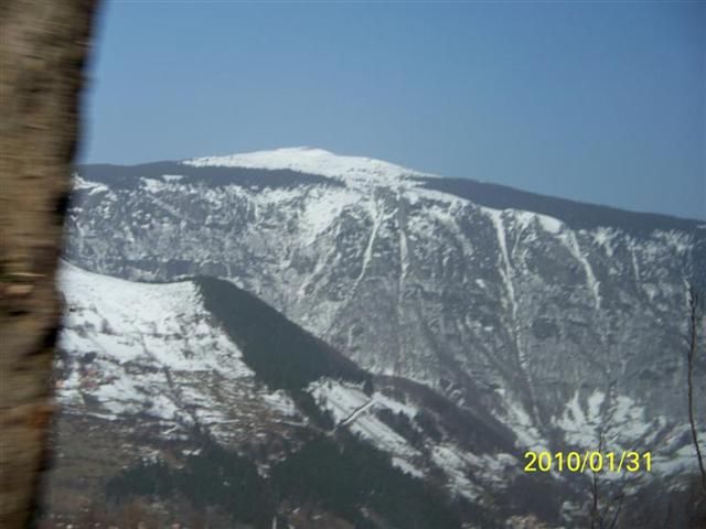 TROFF (16).jpg