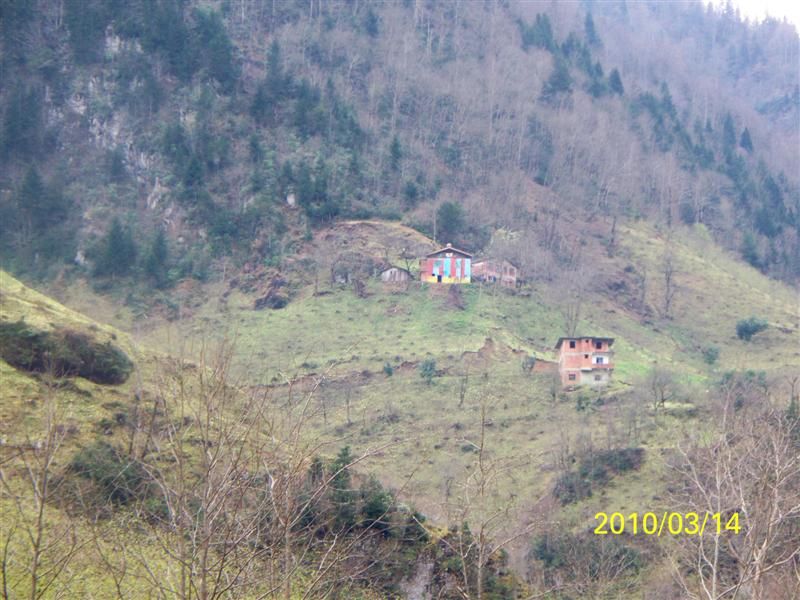TROFF (27).jpg