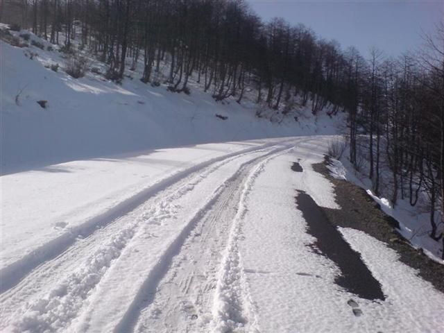 TROFF (43).jpg