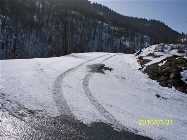 TROFF (50).jpg