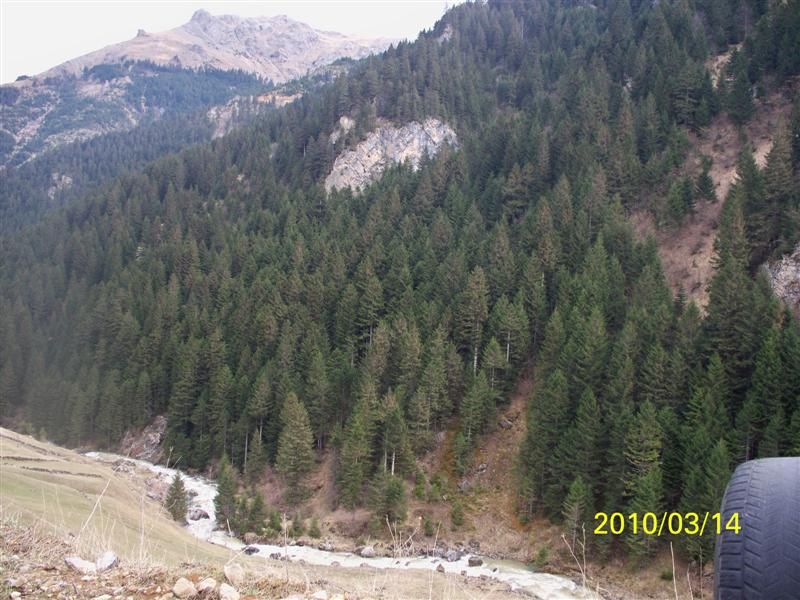 TROFF (50).jpg
