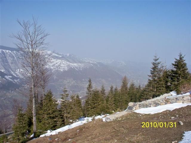 TROFF (53).jpg