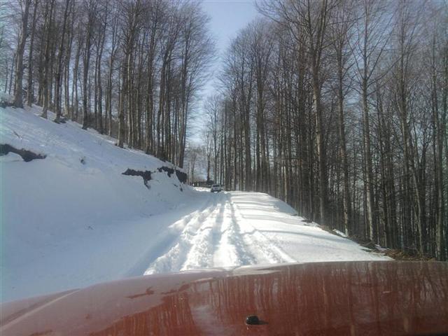 TROFF (55).jpg