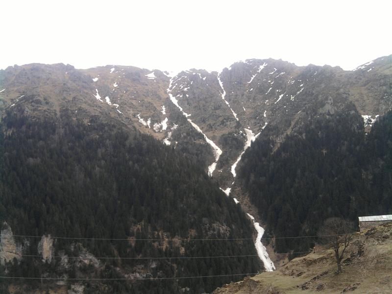TROFF (55).jpg