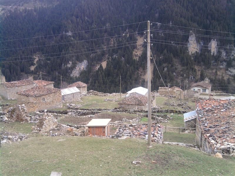 TROFF (57).jpg