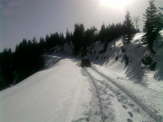 TROFF (63).jpg