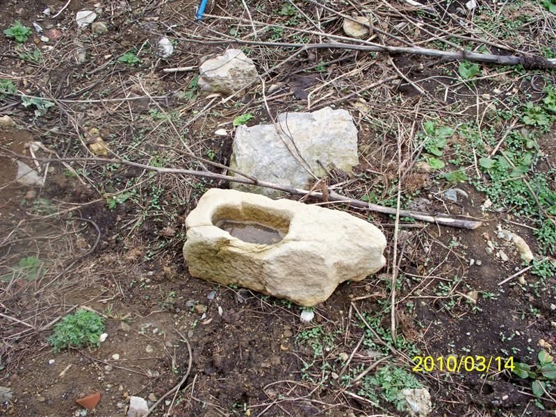 TROFF (77).jpg