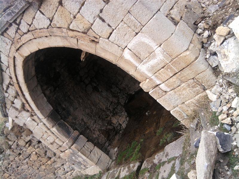 TROFF (8).jpg