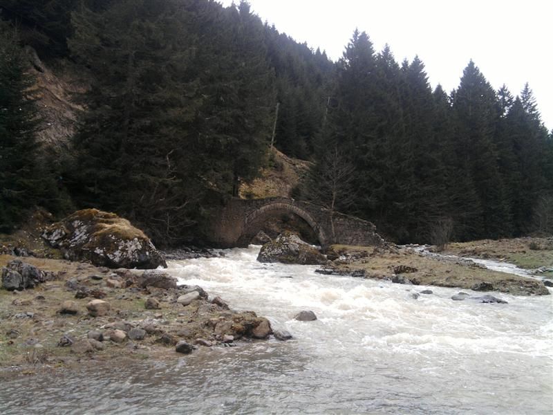TROFF (85).jpg