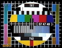 trt-1.jpg