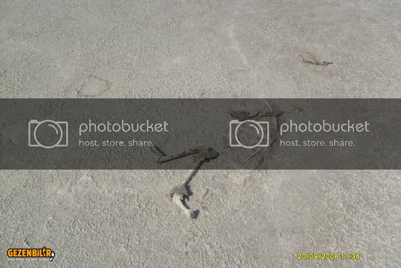 TUZGC396LC39CNESADAKATYC39CRC39C-18.jpg