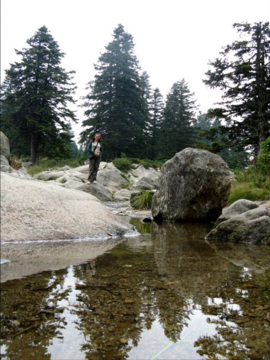 UludaÃƒÂƒÃ‚Â„ÃƒÂ‚Ã‚ÂŸ_2010.jpg