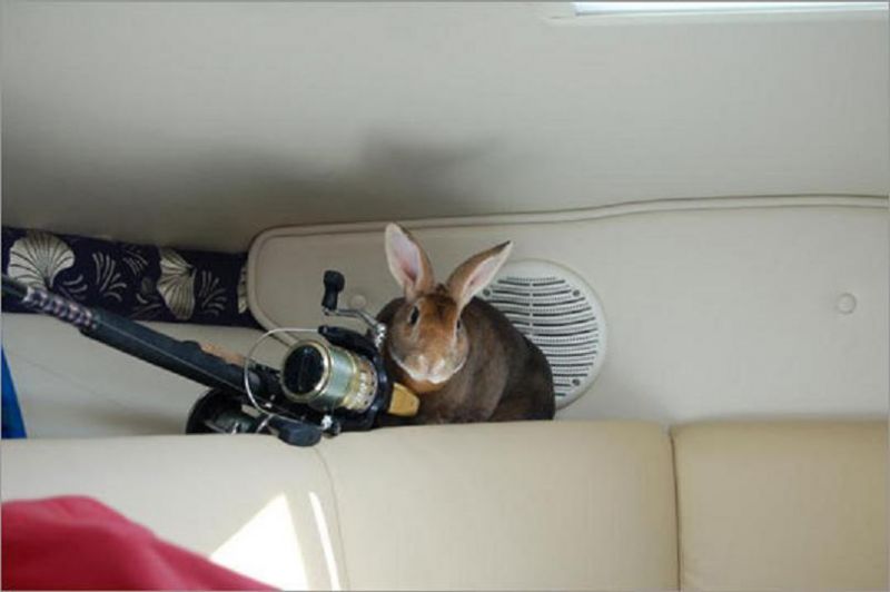 UOH 0008 fishing.jpg