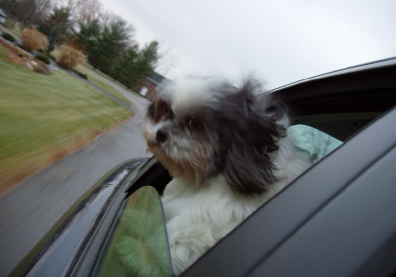 UOH 0013 Tucker's Ride by_Muffin Sama.jpg