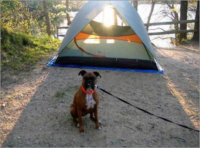 UOH 0016 sweetwater forest camp ground