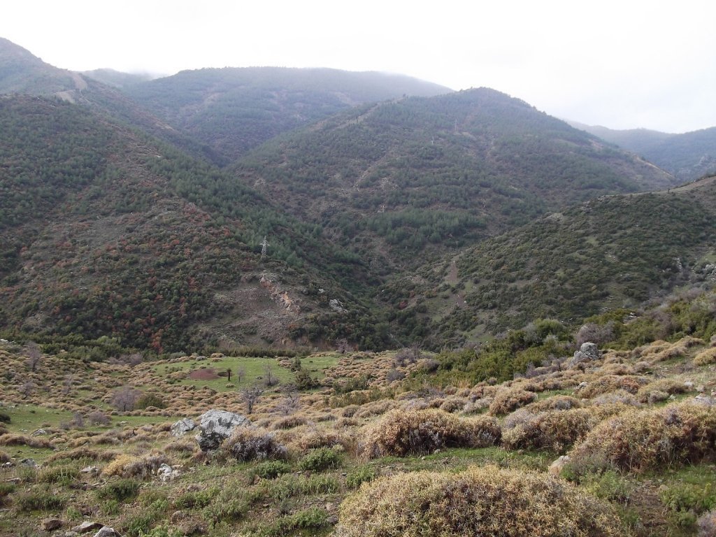 Uzundere'den (08 Ocak 2012)  00006.jpg