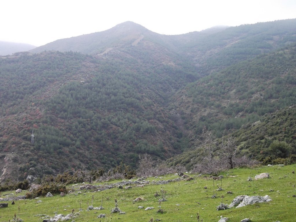 Uzundere'den (08 Ocak 2012)  00009.jpg