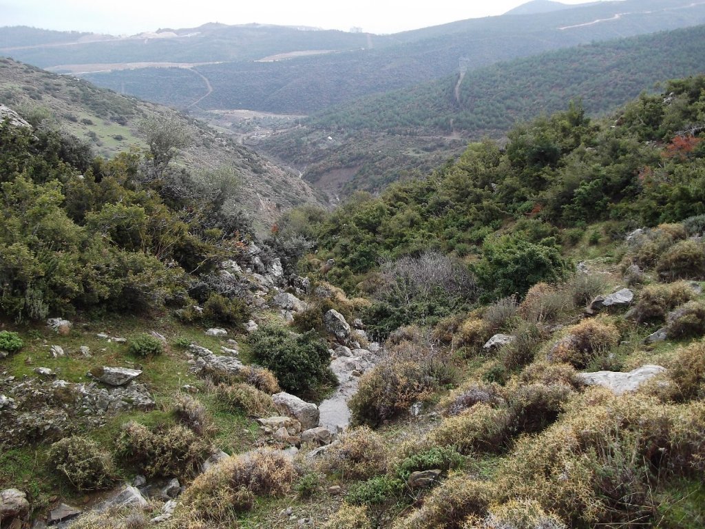 Uzundere'den (08 Ocak 2012)  00010.jpg