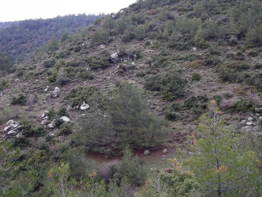 Uzundere'den (08 Ocak 2012)  00013.jpg