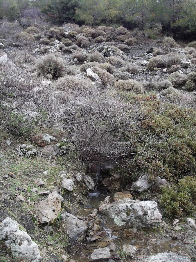 Uzundere'den (08 Ocak 2012)  00014.jpg