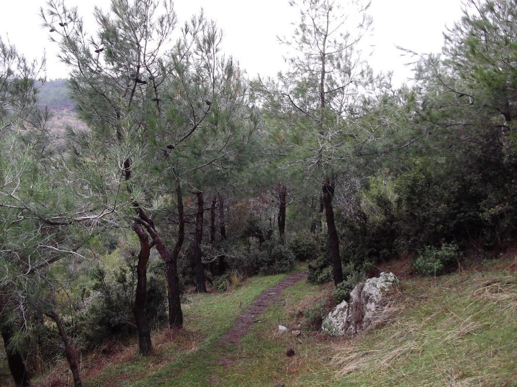 Uzundere'den (08 Ocak 2012)  00015.jpg