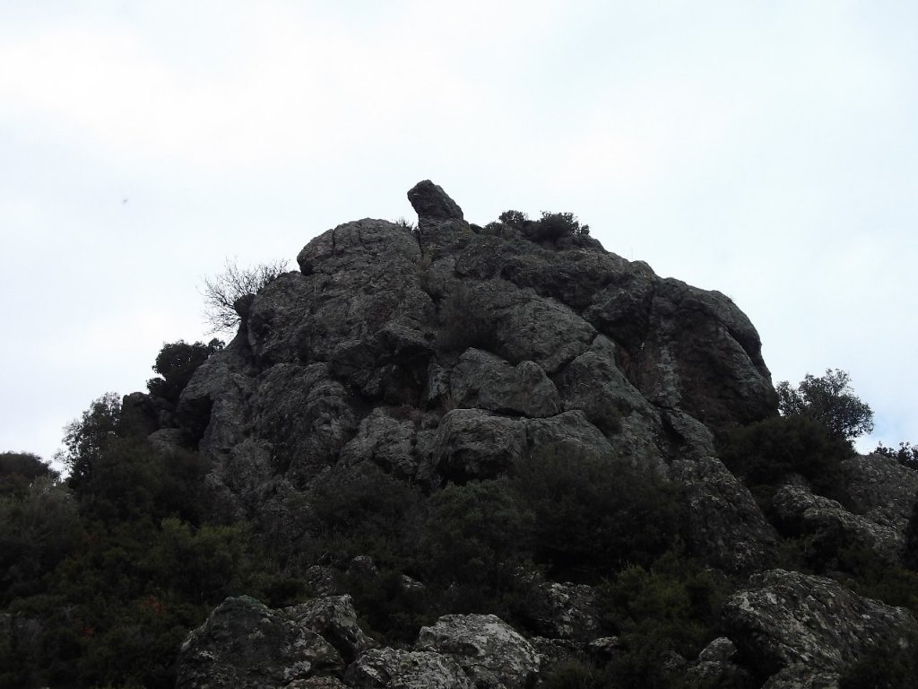 Uzundere'den (08 Ocak 2012)  00017.jpg