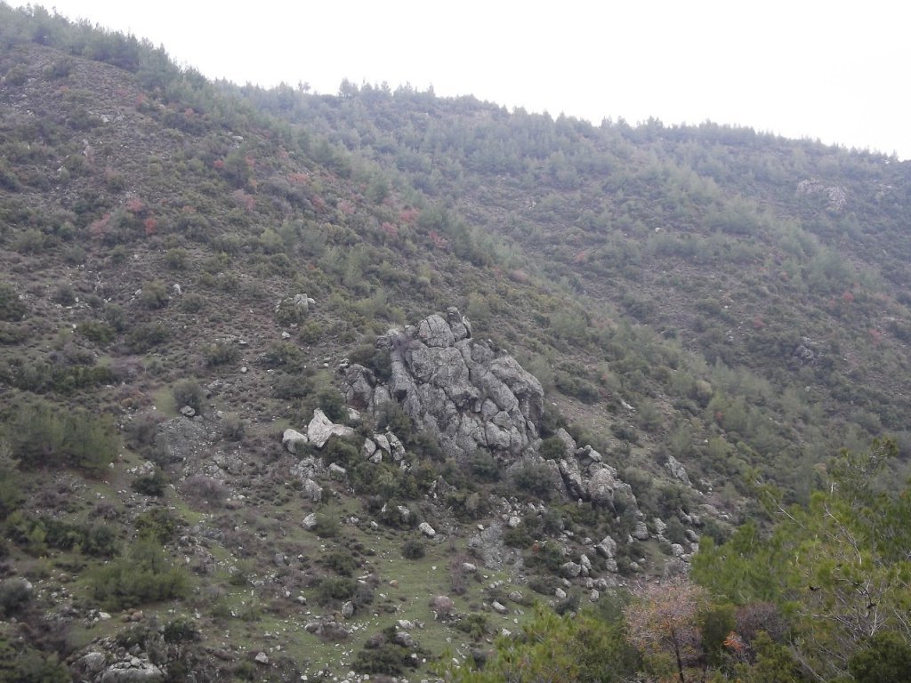 Uzundere'den (08 Ocak 2012)  00018.jpg