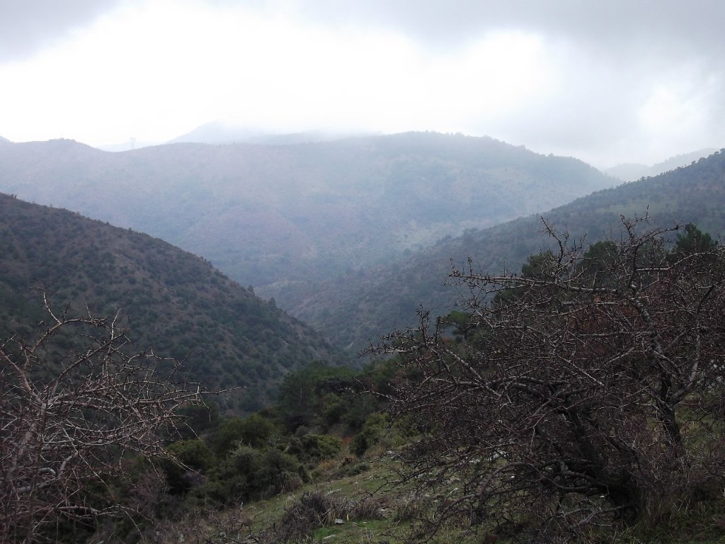 Uzundere'den (08 Ocak 2012)  00021.jpg