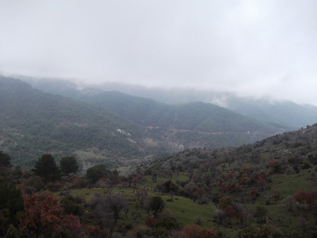 Uzundere'den (08 Ocak 2012)  00022.jpg