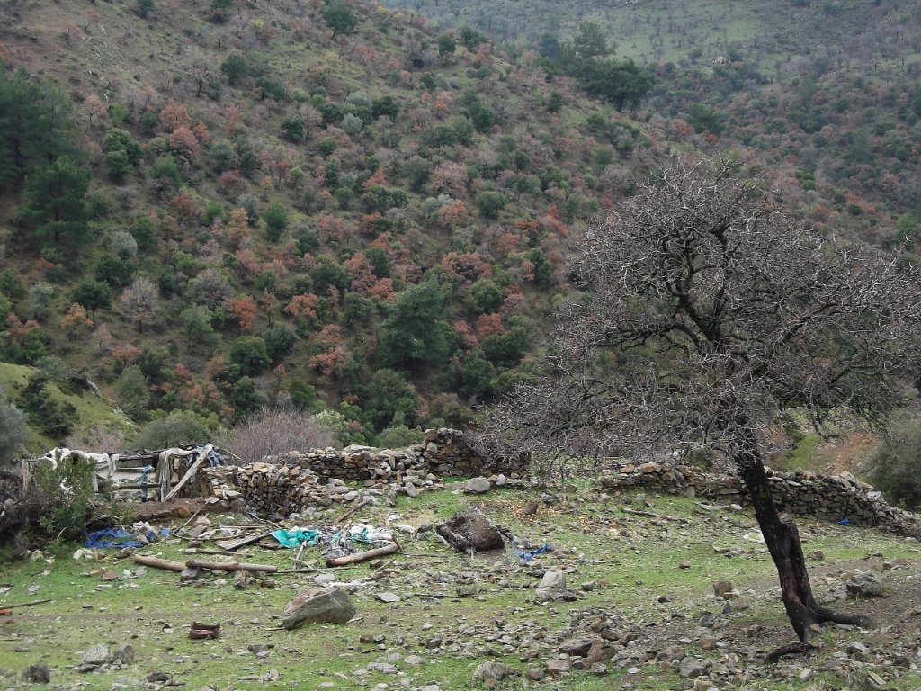 Uzundere'den (08 Ocak 2012)  00023.jpg